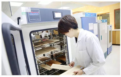 新材料技術研發迎來政策東風，國務院一周新政精準賦能